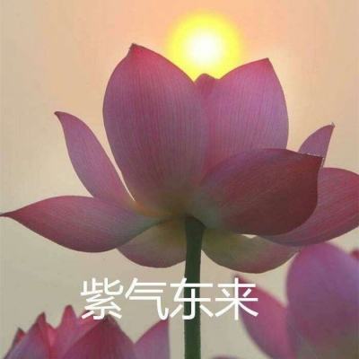 激战狂潮内购破解版下载